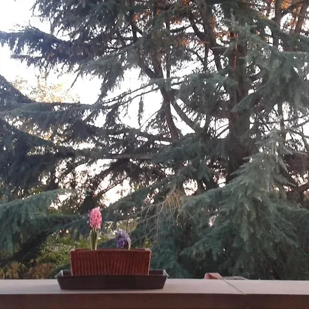 Lupo Azzurro 펜션 *