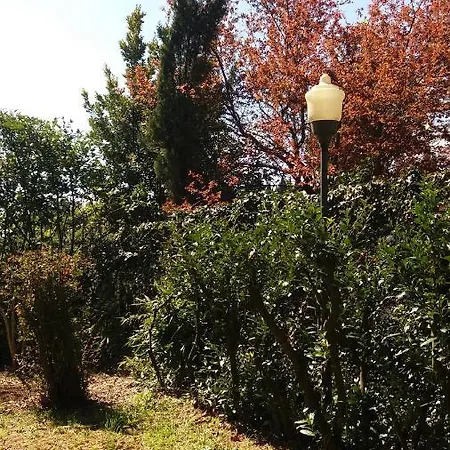 Holiday home Lupo Azzurro *