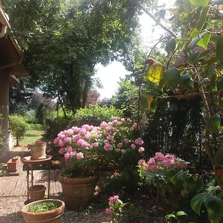 Holiday home Lupo Azzurro Siena