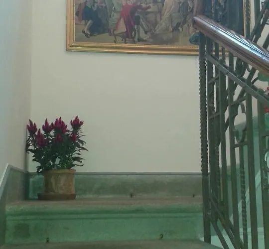 Nyaraló Lupo Azzurro