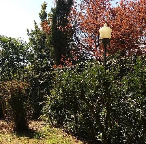 Tatil Evi Lupo Azzurro *