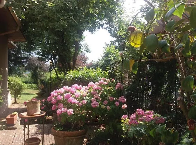 Tatil Evi Lupo Azzurro Siena