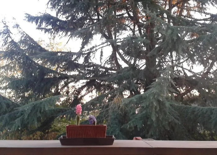 Lupo Azzurro Dom wakacyjny *